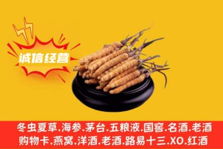 赣州瑞金市回收冬虫夏草